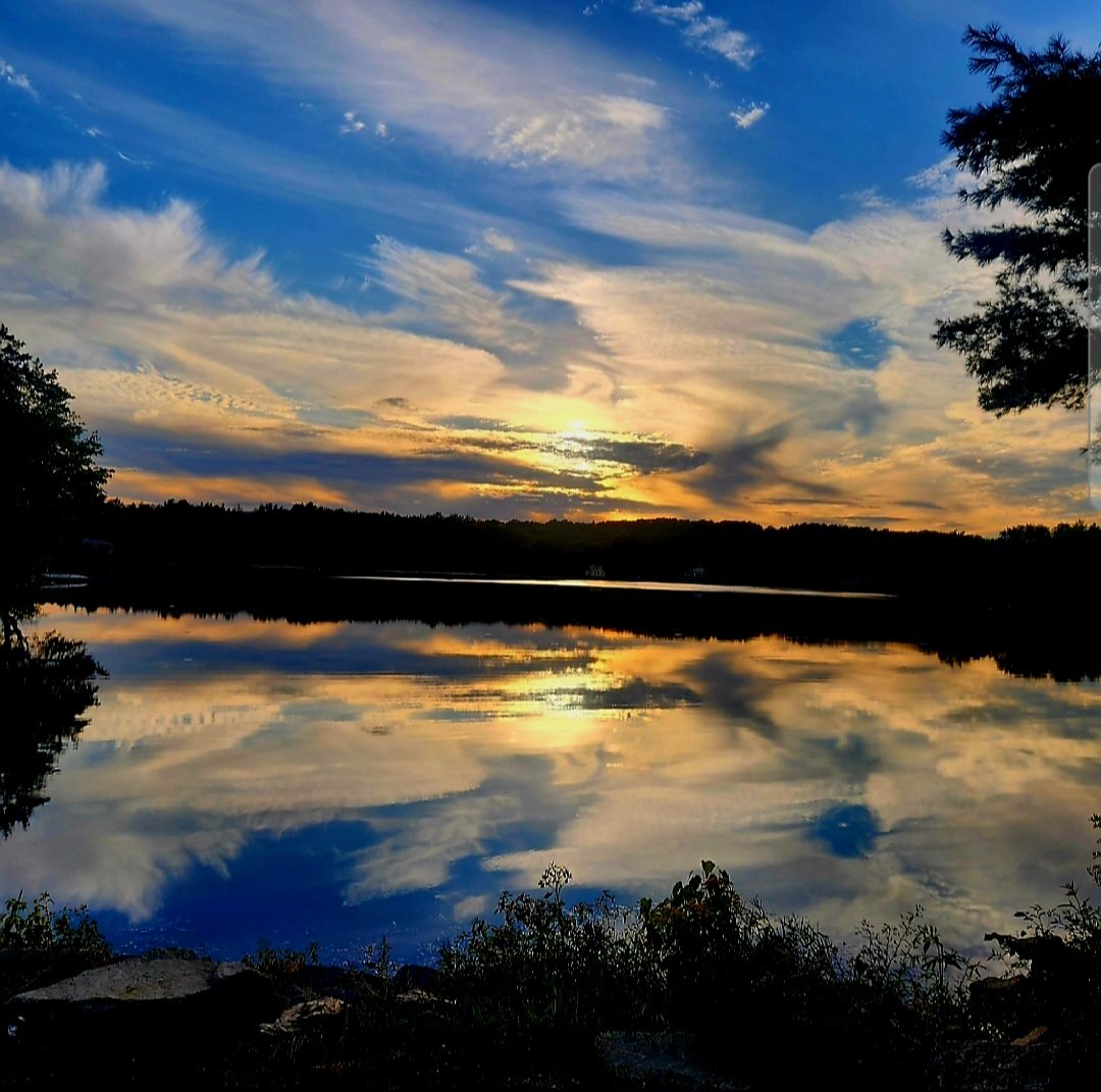 donna_mccance's tweet image. Gorgeous #sunset at #ThePond this evening. 

#breathtaking 🙏🌅

Wishing you all a good night. Sweet dreams!  🌌

#sunsetphotography
#SunsetLovers
#sunsets
#McCancePhotos