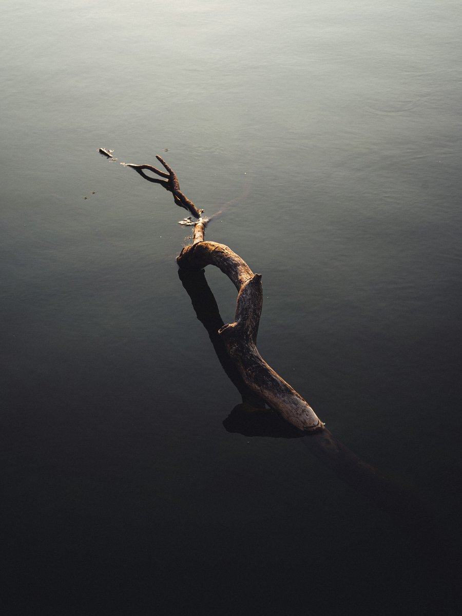 STUDIO_BEMO's tweet image. #WorldPhotographyDay 📸