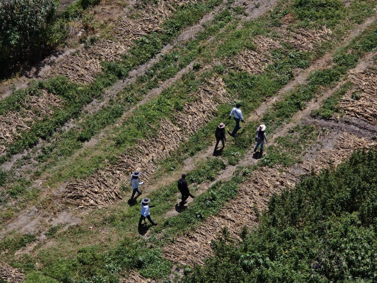 CBPEHidalgo's tweet image. La CBPEH, lleva a cabo búsqueda generalizada en el municipio de Tezontepec de Aldama.