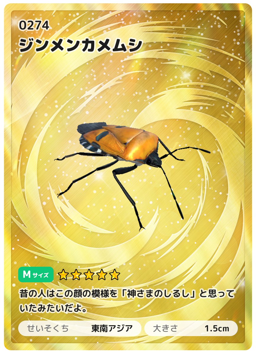 bughunt_japan's tweet photo. 【カード紹介⑩】　ジンメンカメムシ（☆５）この角度だとわかりにくいですが背中にヒトの顔があるみたい。不思議な昆虫です。　#昆虫採集 #昆虫 #虫 #カブトムシ #クワガタ #昆虫展 #自由研究 #夏休み #小学生 #むしとり #アプリ #アプリゲーム #incect #宿題 #お出かけ #ヘラクレスオオカブト　#モルフォチョウ　＃カード　＃ノコギリクワガタ　#ジンメンカメムシ
