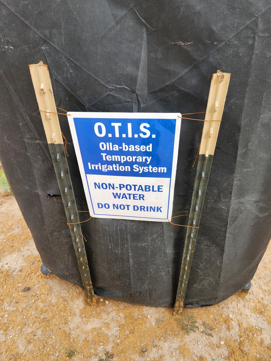 CuttingCeramics's tweet photo. #waterharvesting off of 22nd/Pantano in #Tucson with #ollaballs! https://t.co/TbybrxBF5p