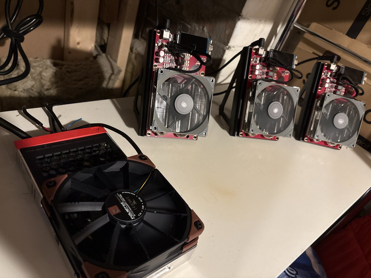 𝙱𝚘𝚋𝚋𝚢 tweet media