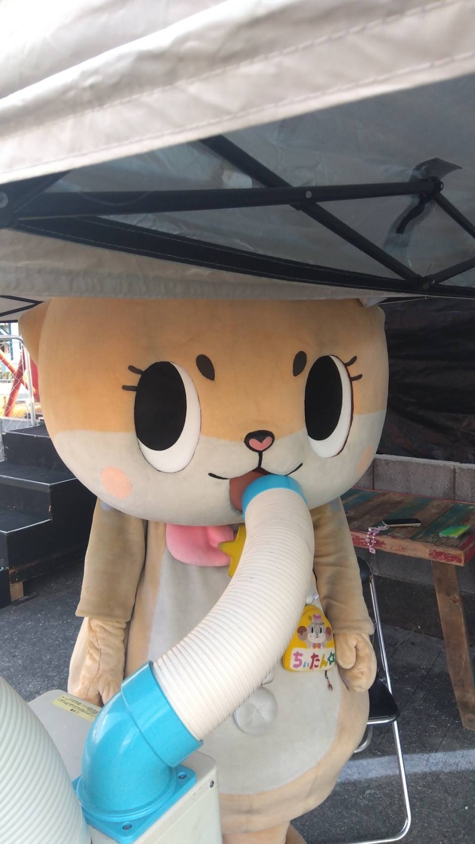 ちいたん☆ (@mickeyentry) / X