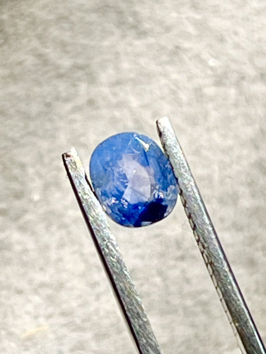 PlumeriaGem様<a href="/Plumeria_Gem/">Plumeria ❀ Gem🌺</a>
&amp; 
Beatrice様<a href="/Beatrice_0716/">Beatrice(ベアトリーチェ)</a> 
のInstagramLIVEお迎えした青シルキー💎

私最近LIVEの寝落ち常習犯なんですけど、たまたまいいなと思ってた子が翌日まだお迎え待ちという奇跡✨
これはもうご縁ですよねそうだよね(  ‥)ｳﾝ