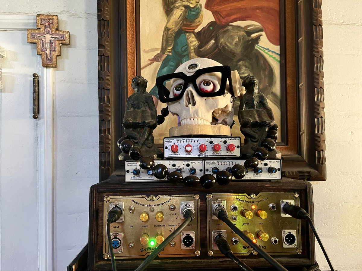 using my amazing <a href="/svisound/">SviSound</a> stereo compressor / spring reverb and its uniquely beautiful sounds on the new <a href="/theettes/">The Ettes</a> album . also seen here with my #drnoimaginarium dc fuzzy skull. thank you both so much for building these one of a kind sonic enhancement devices for me. much love