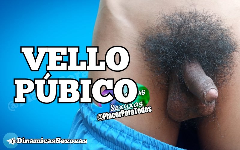 Muestra tu vello púbico

RT si te lo dejas 

Los comentarios  negativos serán motivo de bloqueo. Tener vello no es sinónimo de mala higiene. Tampoco mandar afeitar a nadie. Cada quien decide como llevarla
