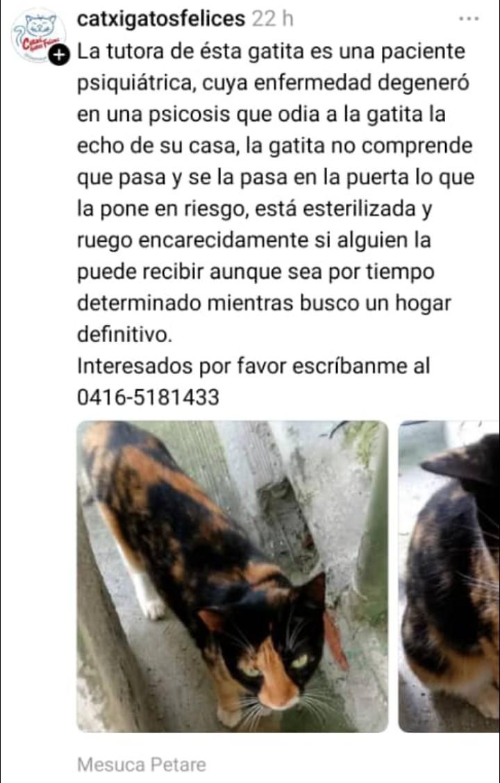 Zona Caracas 🙏🏻❤️😺