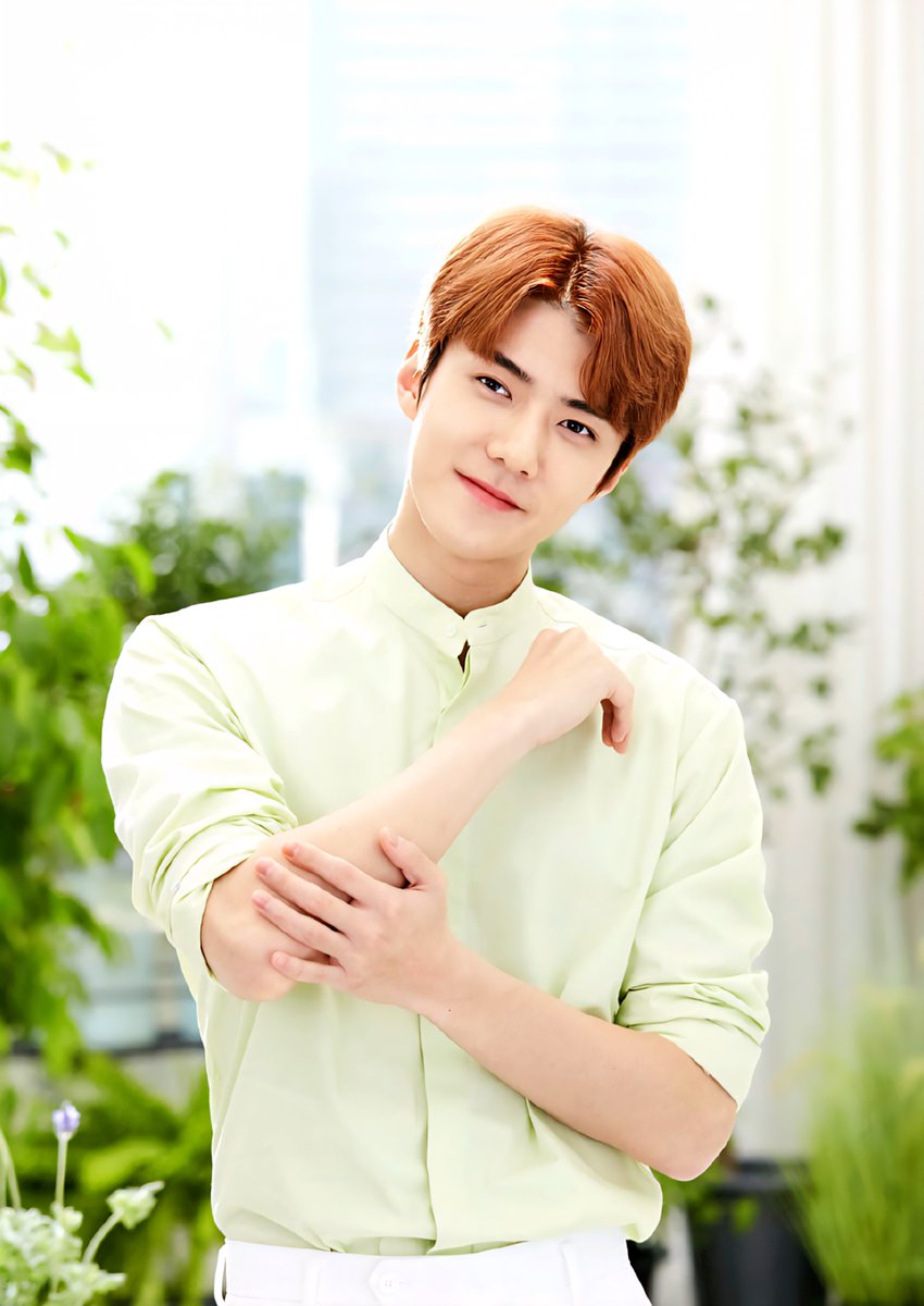 Bac✴n 🥓( 𝑥 )⁰² (@bacoonzzz_) on Twitter photo 🍊🍃🌼
#세훈 #SEHUN 🍊🍃🌼
#세훈 #SEHUN