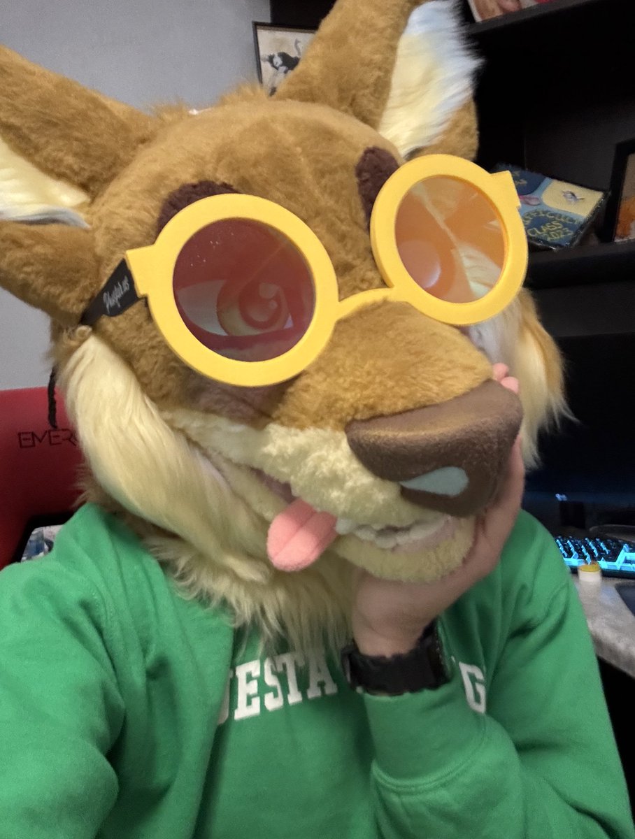 Bullet Woofs 🦴 tweet media