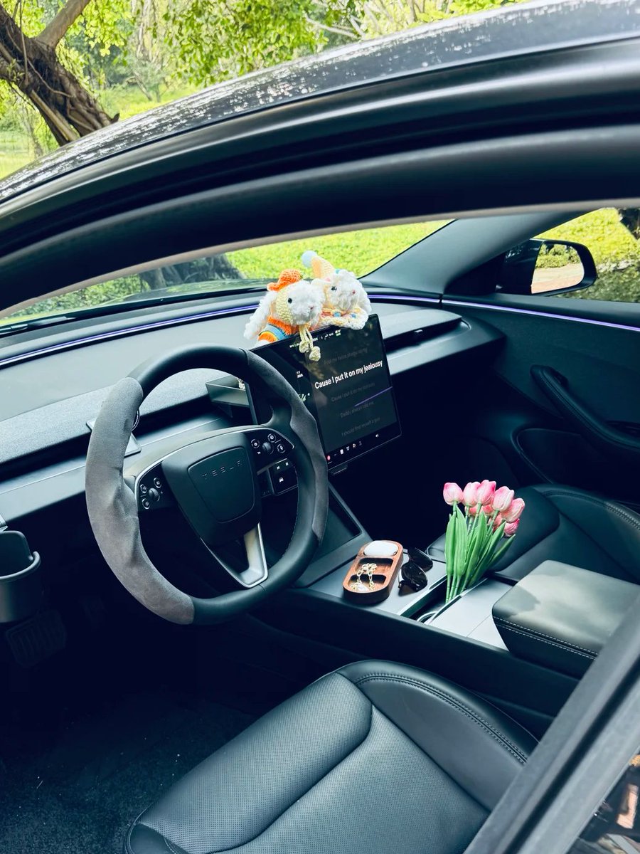 usa_SophiaLeekk's tweet image. A limited-time spring treat: a bouquet of flowers 🌷, a song 🎶, and a spontaneous drive 🚗💨
#Tesla #LifeAtmosphere #SpringRomance
