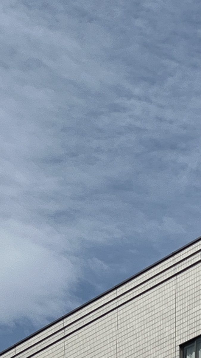 おはようございます☀️

現在の仙台駅周辺は天気は薄曇りの晴れ。
熱中症には充分気をつけて外出してくださいませ！

暑゛す゛ぎ゛る゛け゛ど゛今゛日゛も゛元゛気゛に゛か゛い゛て゛ん゛だ゛あ゛あ゛あ゛あ゛あ゛

#企業公式相互フォロー
#企業公式が地元の天気を言い合う
#公式つぶやき部