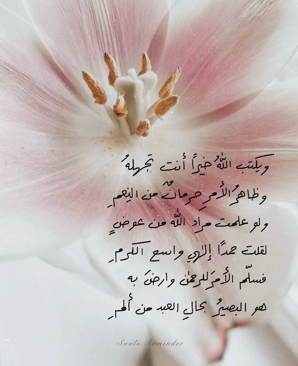 Khsadqa's tweet photo. https://t.co/QFvIpwyusv