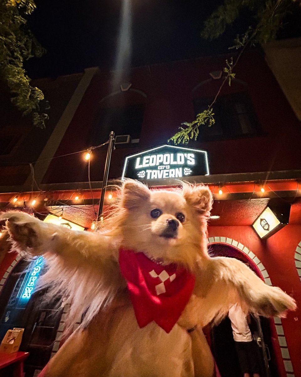 Leopoldstavern's tweet photo. Leonard has been all over the world but his favourite place is Leo's π€
(go figure)
β #seeyouatleos #yqreats #regina #yxeeats #saskatoon #wpgeats #winnipeg #yegfood #edmonton #yyceats #calgary #yyjeats #victoria #ylweats #kelowna #warman #vancouver #yvreats https://t.co/CaAREjwqL4