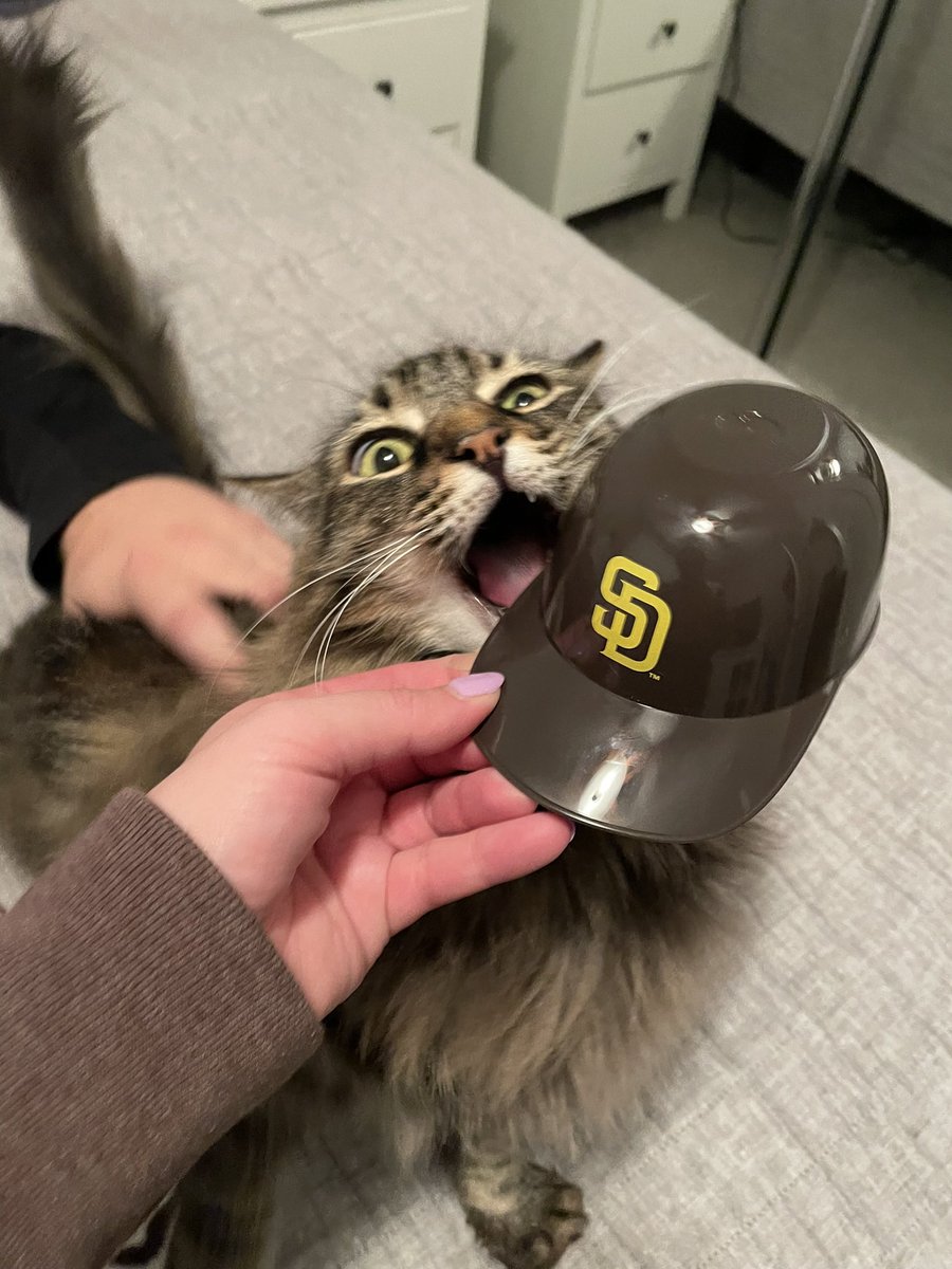 Sassyysav's tweet photo. #padrespets #ForTheFaithful https://t.co/FUTDUCeRR8