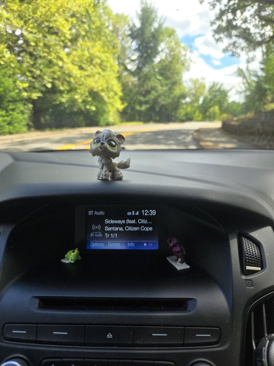 ghostisguilty's tweet photo. lps in da car https://t.co/2dmtCd6uSO