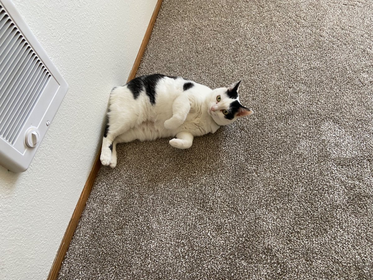 she loves the new apartment