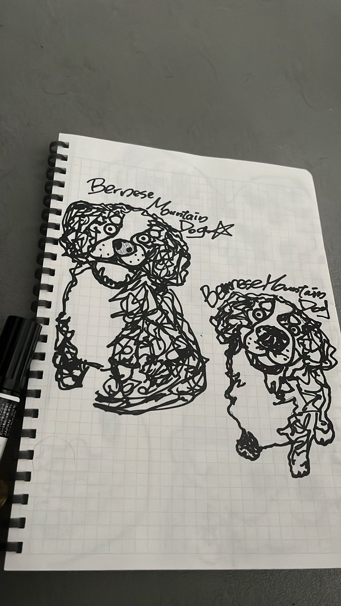 wa_can_'s tweet photo. 朝から犬を描く

目指せバーニーズ
目指せバーニーズ
目指せバーニーズ

バーニーズマウンテンドッグ！！！！ https://t.co/SwNPCkBwZ0