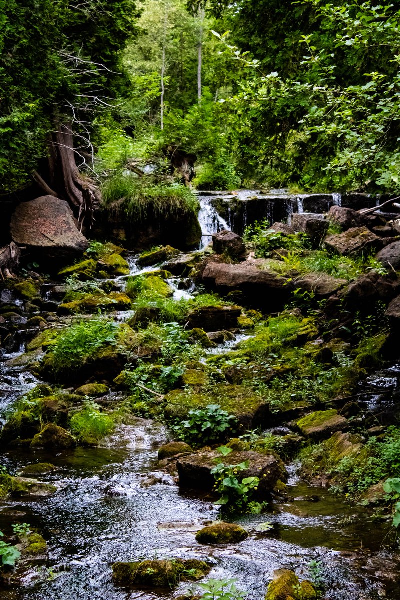 Happy #Worldphotographerday