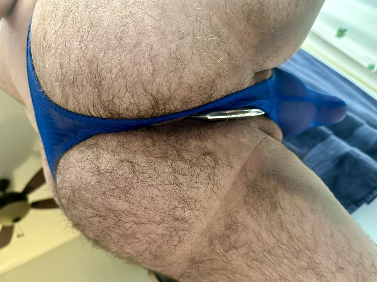 FluffythongerFL's tweet photo. Thonged up and hole plugged up!

#thong #thongers #malethong #mensthong #underwear #mensunderwear #gaycub #gayhairy https://t.co/MDgUvHEpkz