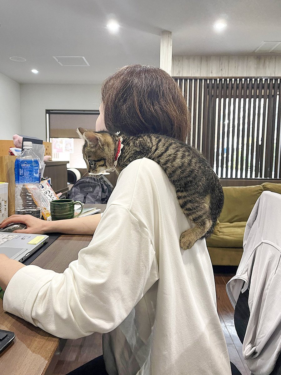 neko_fudosan's tweet photo. これが令和の働き方改革だーーー！ https://t.co/vlAWVyP5jT