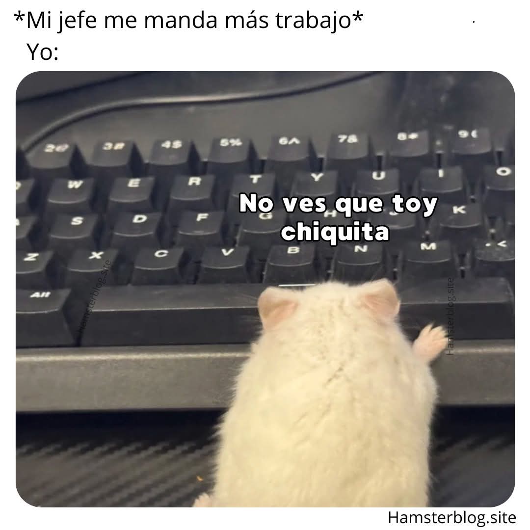 Deniwiwis's tweet photo. Ya odio a todos... https://t.co/JBANnxOrl5