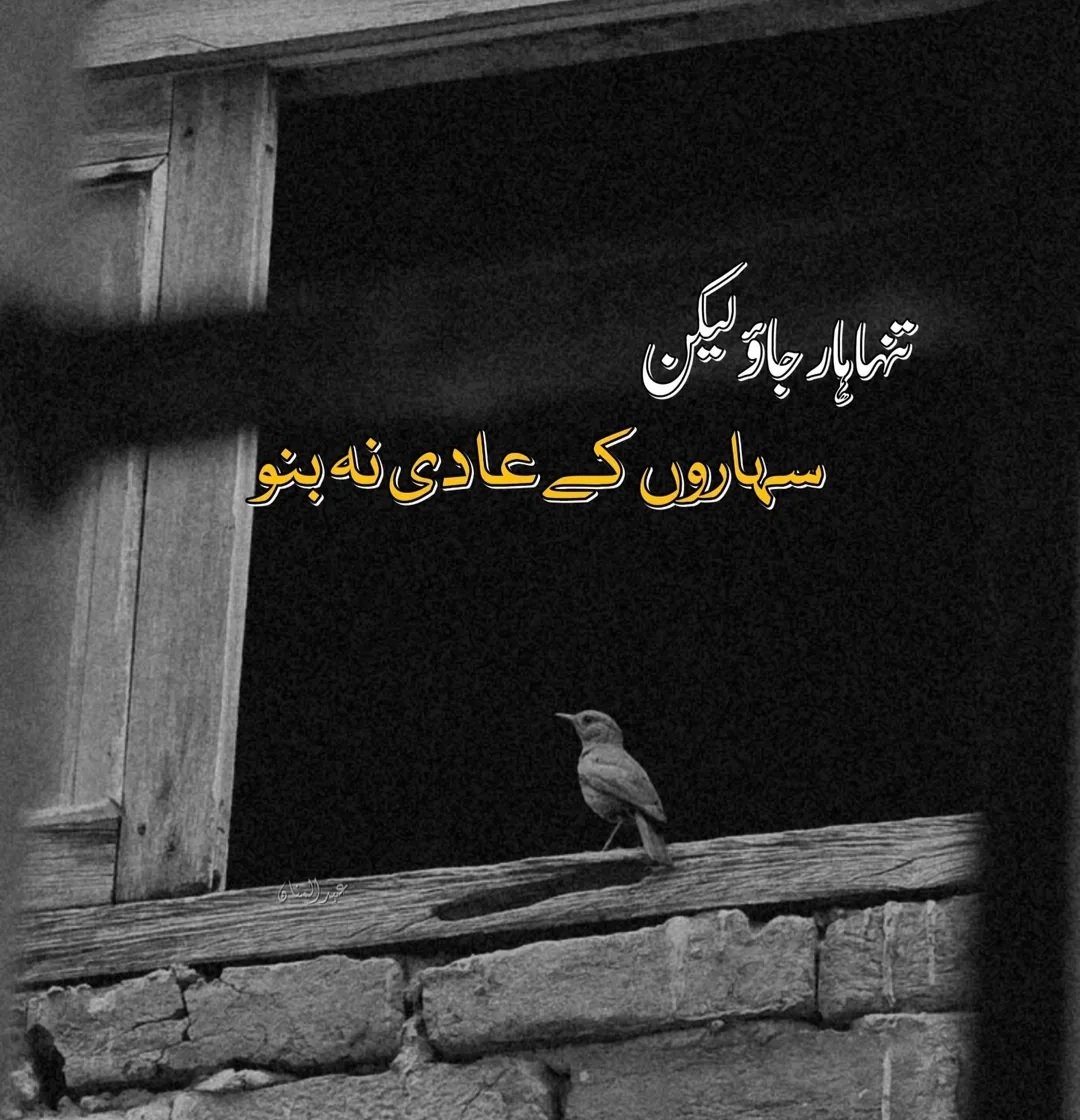 it's me M hashir (@m_hashirr) on Twitter photo 