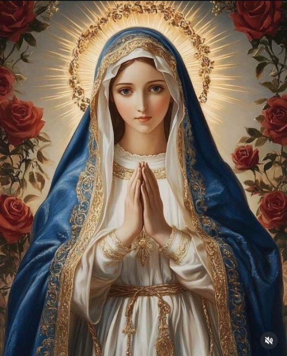 OscarLRA1981's tweet image. ✝️ Dios te salve, María, 
llena eres de gracia;
el Señor es contigo.
Bendita Tú eres 
entre todas las mujeres,
y bendito es el fruto de tu vientre, Jesús. 

Santa María, Madre de Dios,
ruega por nosotros, pecadores,
ahora y en la hora de nuestra muerte. Amén 🙏