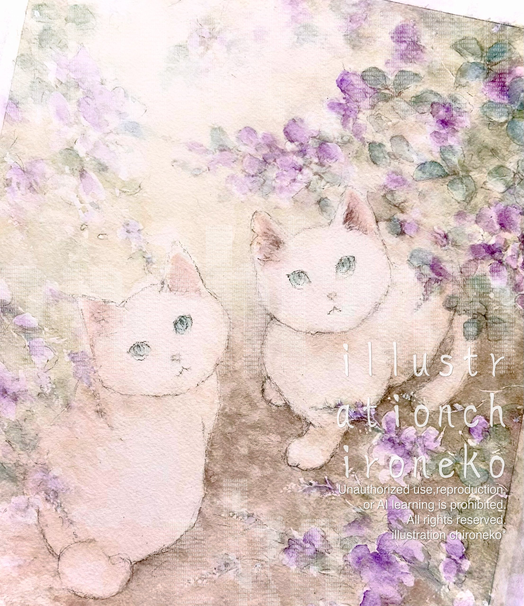 えだまめ(自己紹介必読) すごい自己紹介 - メルカリ