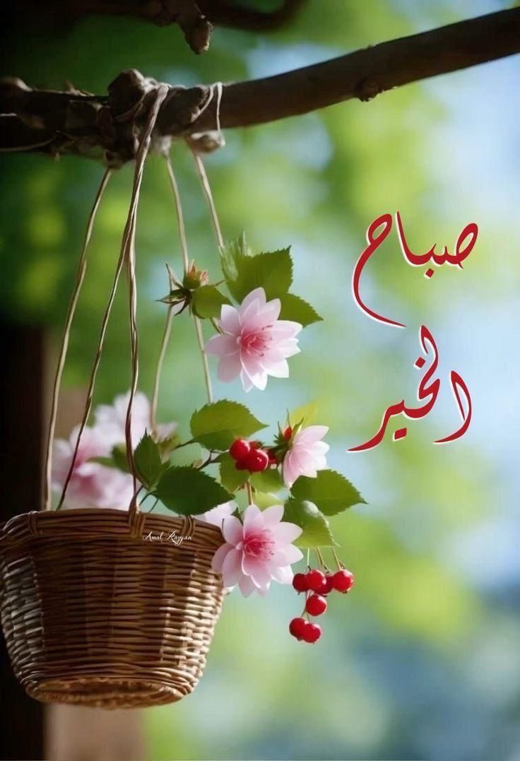“القلوب الطيبة لا تعرف الحقد، والنفوس العظيمة لا تنشغل بالصغائر، فكن عظيمًا بتسامحك، وراقيًا بأخلاقك.” 🌿
#صباح_الخيرᅠ 
#صباح_الأشياء_المُشرقة