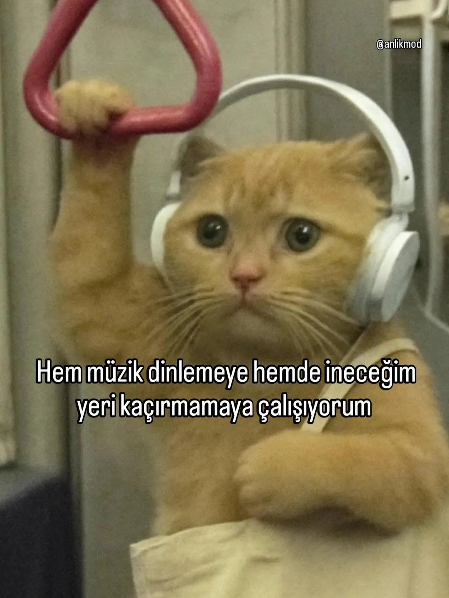 ANLIK (@anlikmod) on Twitter photo 