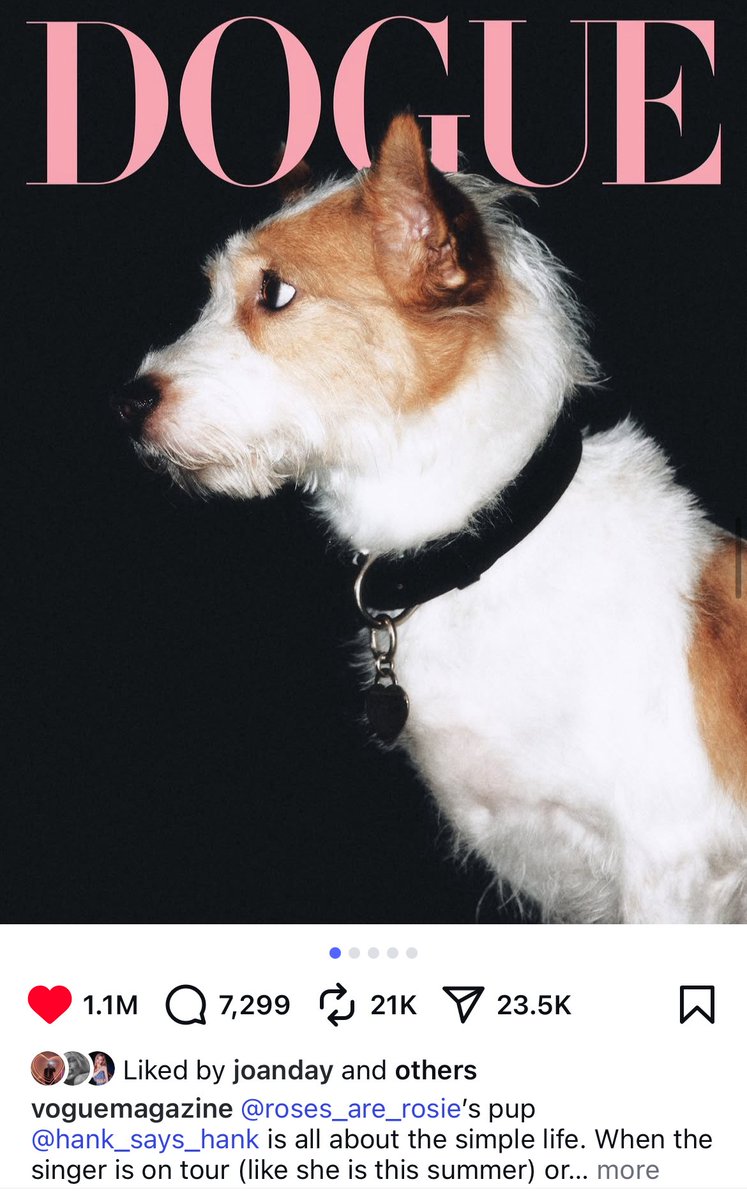 ล้านแตก เยอะสุดในบรรดา Dogue แมสสุดๆ