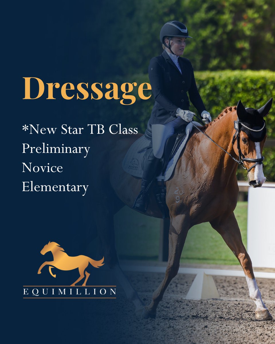 Equimillion tweet media