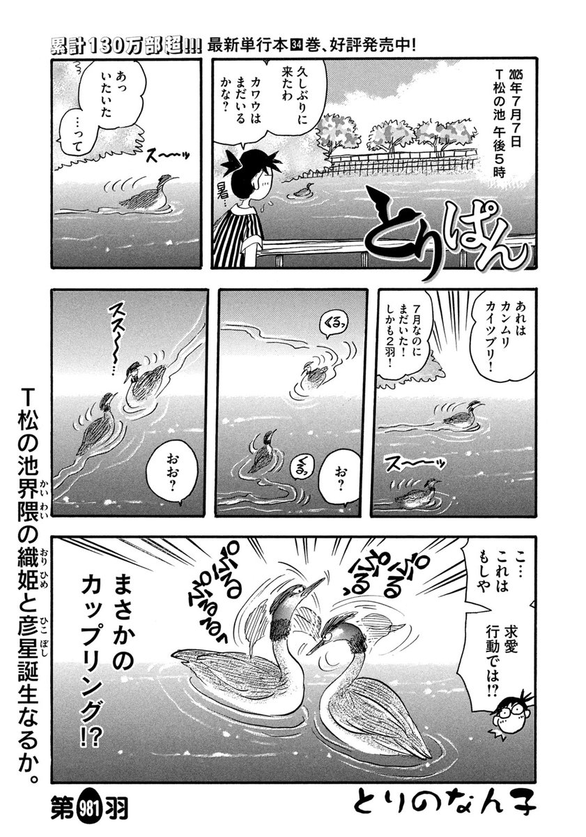 モーニング、サイレーン連載開始号 Amazon.co.jp: サイレーン（7