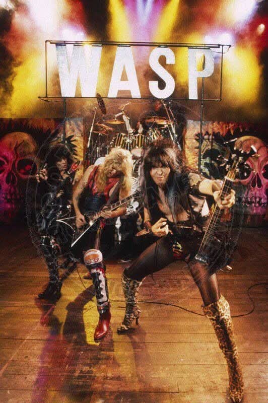 SenorQuintante's tweet photo. Wasp Day. https://t.co/GdRcmIFbD3