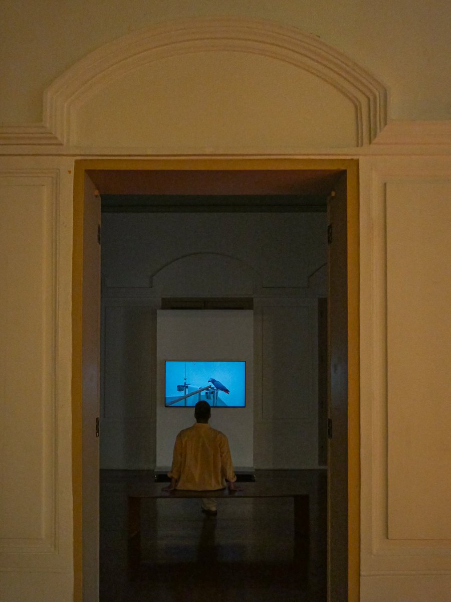 insomnia.scene tweet media