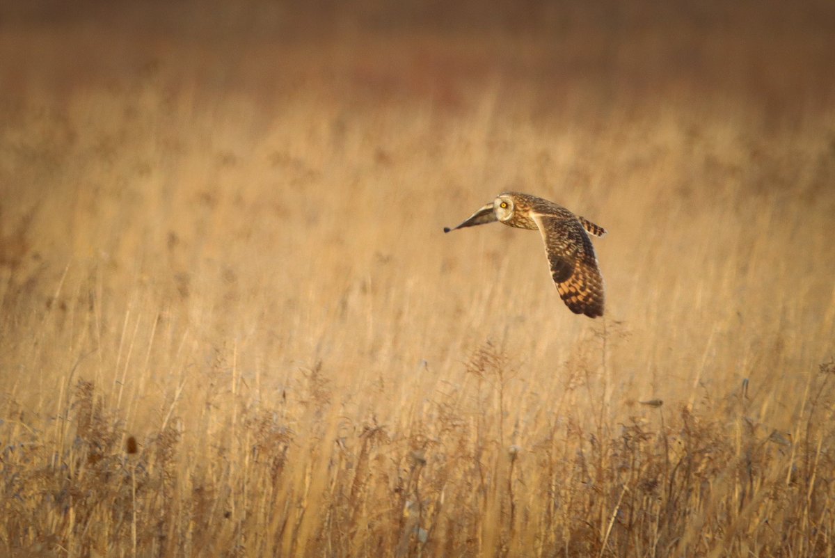 Almost missed out on #WorldPhotographyDay2025. This was one of my favorites.