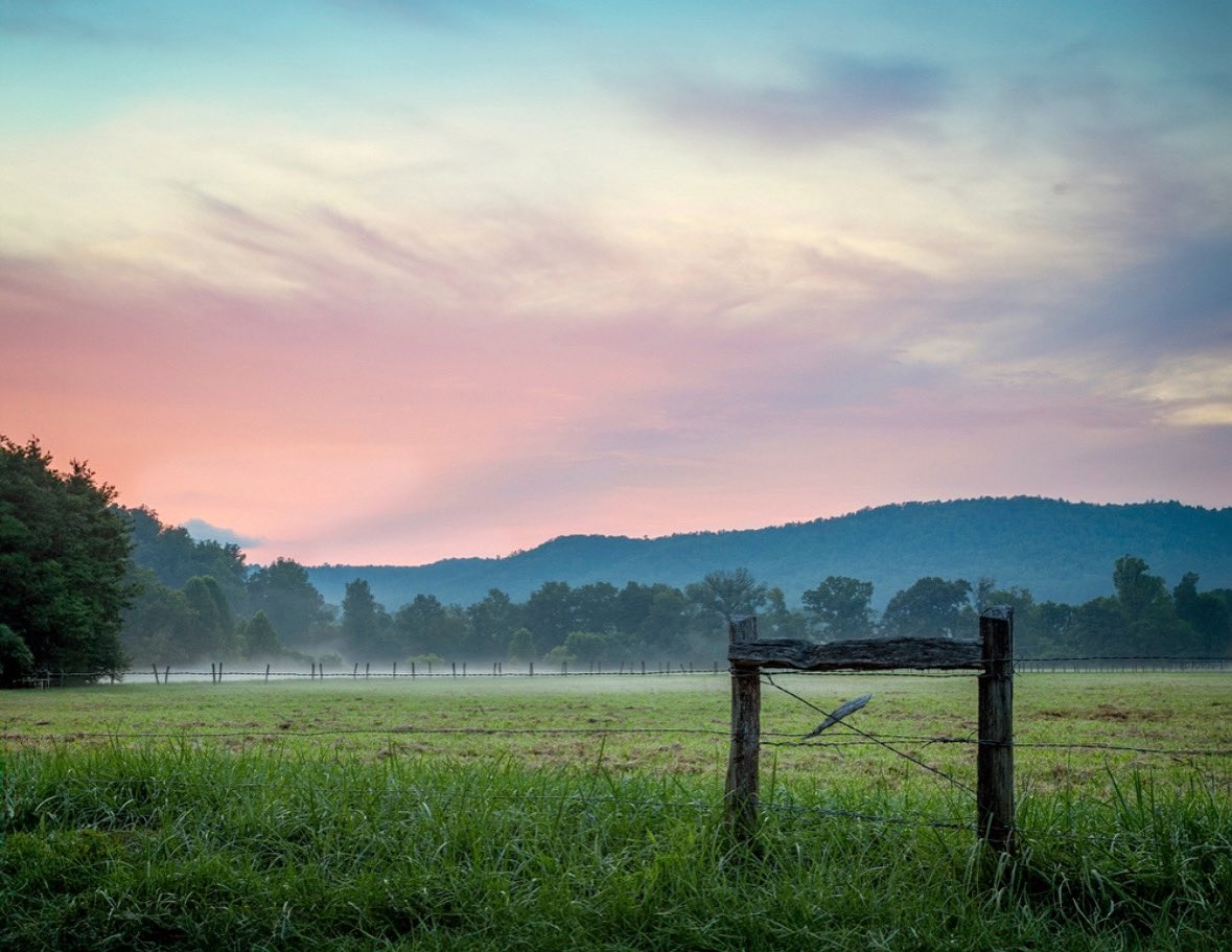 SevierFun's tweet image. Come for the sunrise, stay for the peace.

📸: experiencecadescove