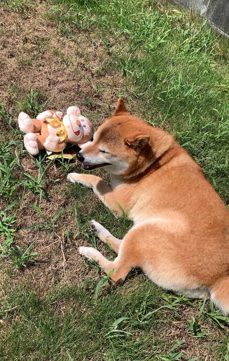 ⭐️Ginzi⭐️ (@48ginzi) / Posts / X