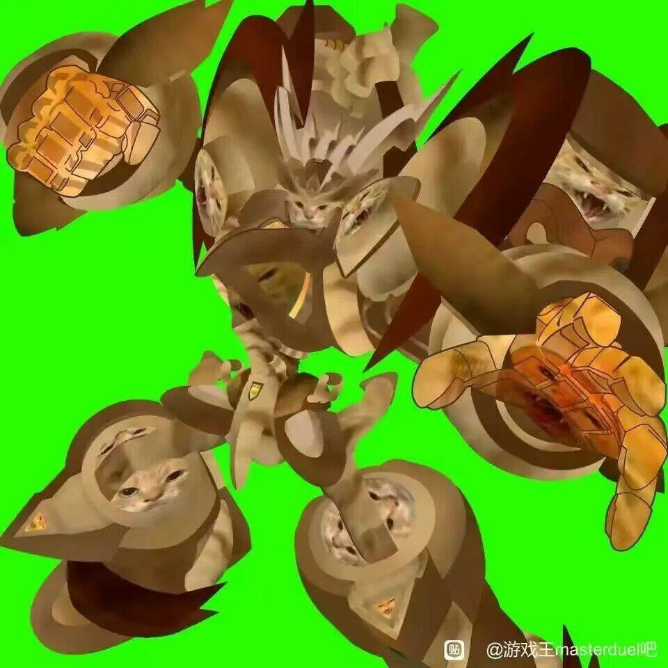 I give it 5 big meows.