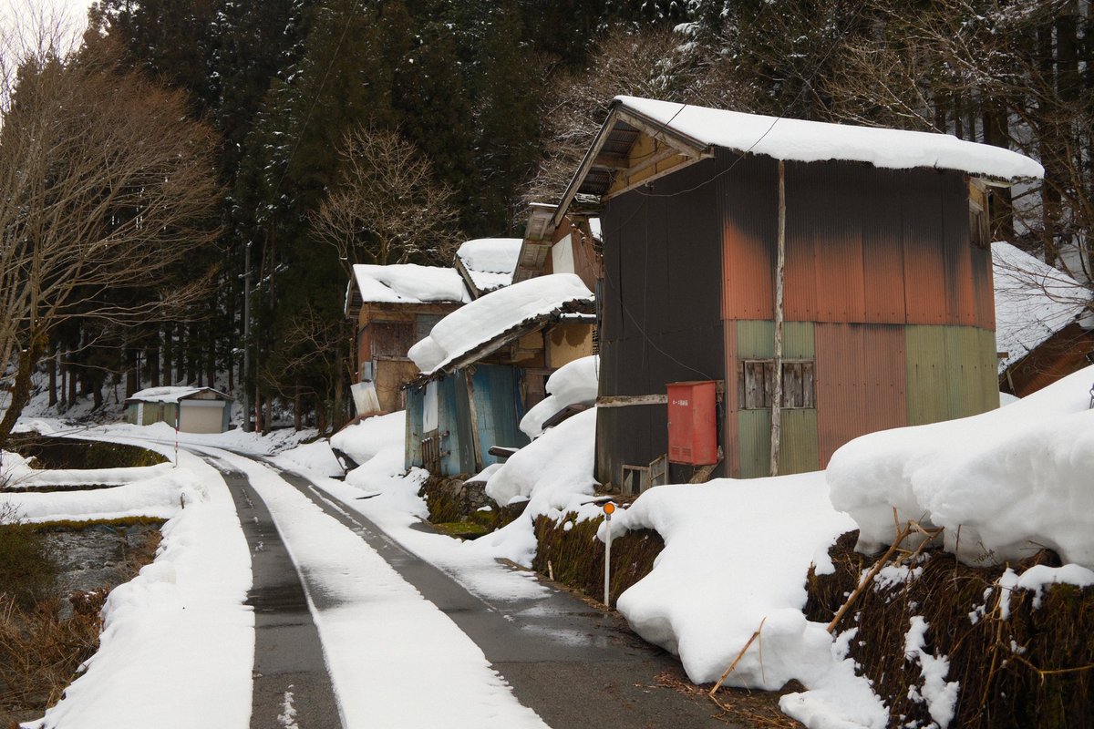 wepergee's tweet image. ผีที่ดุที่สุดคือผีญี่ปุ่น!! ไปมาก็หลายประเทศไม่เคยเจอผีเลยนะ.. แต่ผีญี่ปุ่นออกมาหลอกกลางป่าตอนกลางวันแสกๆ หรือมันคือทานุกิ????? 🍃