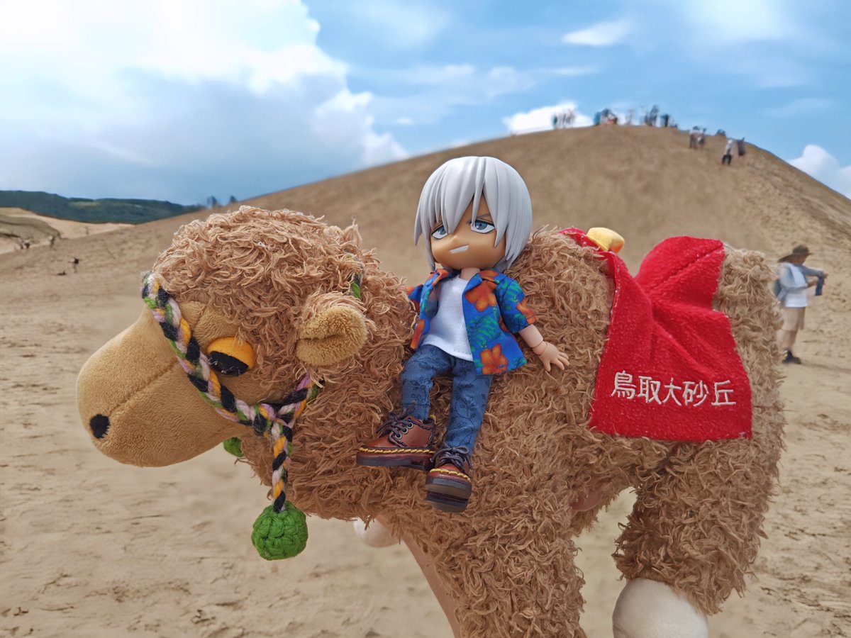 砂丘写真別ショット