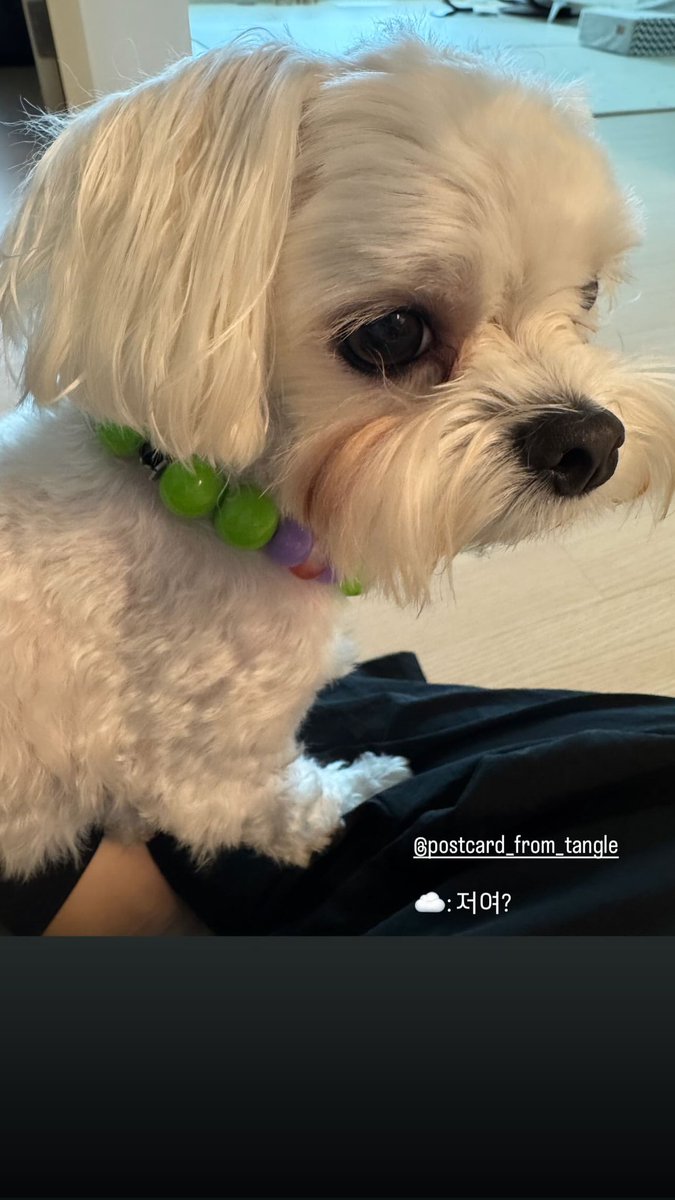 250820 • Han Hyojoo via Instagram Story

@.postcard_from_tangle
Thank you unnie
This one's mine
And this one is Cloud's

☁️ : Me?

#HanHyoJoo #한효주 #ハン・ヒョジュ