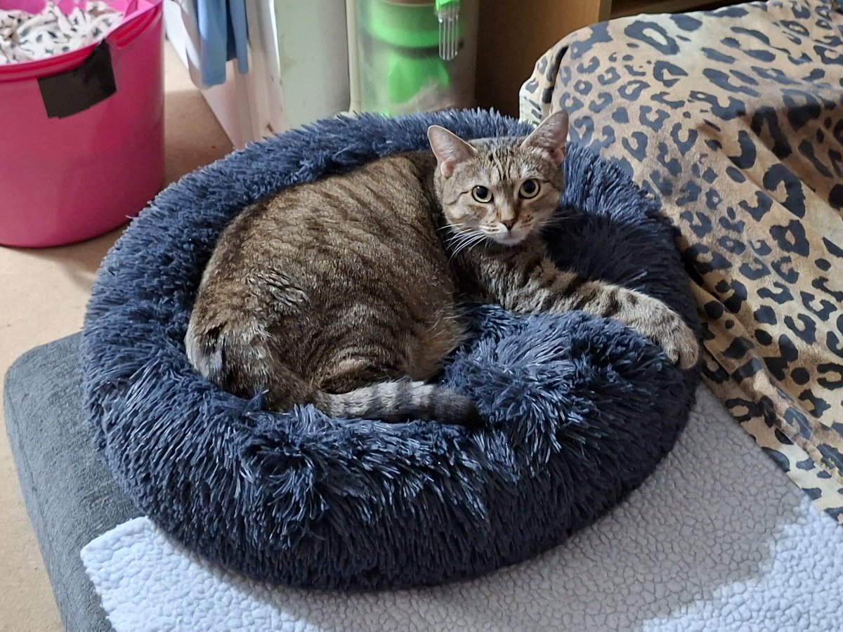 Mum?  Mum?

How many more sleeps until #Nipfest2025?