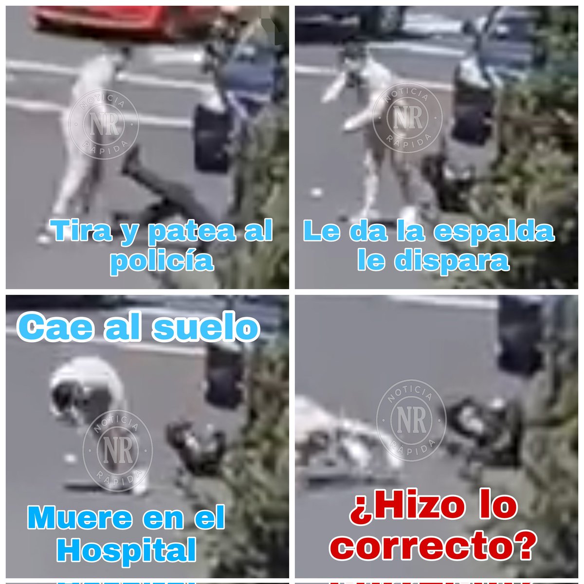 Raúl Gutiérrez tweet media