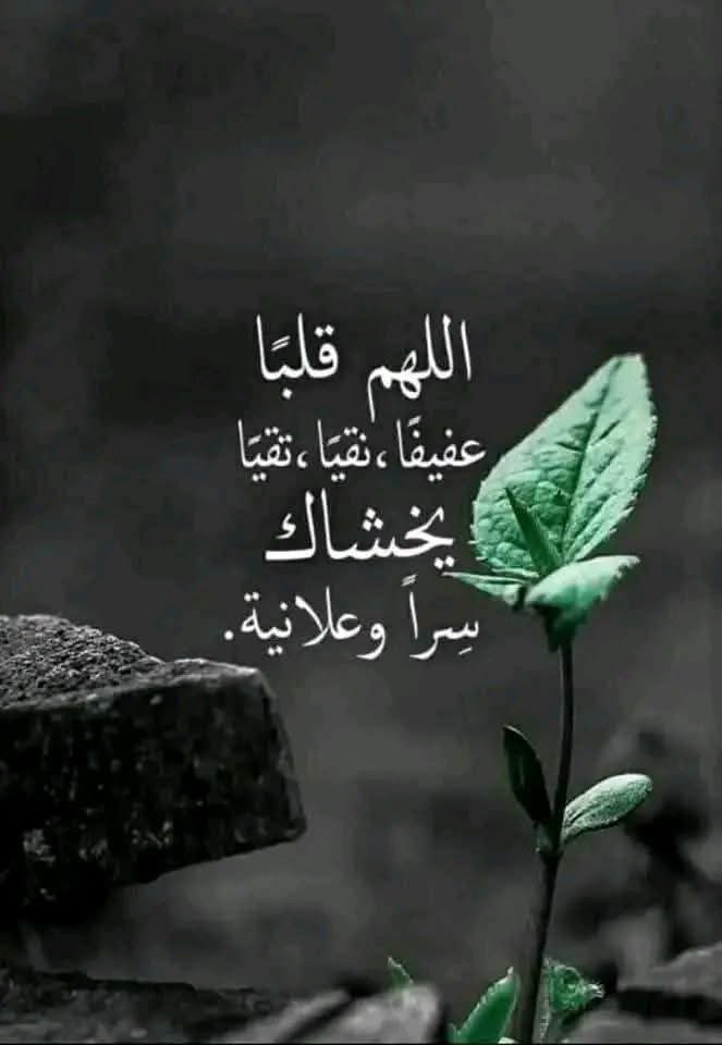 اللهم في صباح هذا اليوم أسألك الراحة
لكل من ضاقت عليه دنياه  
وذرفت عيناه
يا كريم يا شارح الصدور  
وميسر الأمور
أجعل حياتي وحياة أحبتي نور على نور
اللهم من كانت له حاجة فأقضها له
ومن كانت له أمنية فحققها له
ومن كان به هم وغم فرج همه وغمه
وفرح قلوبنا أجمـعين🤲🌹
اللهم امين🤲