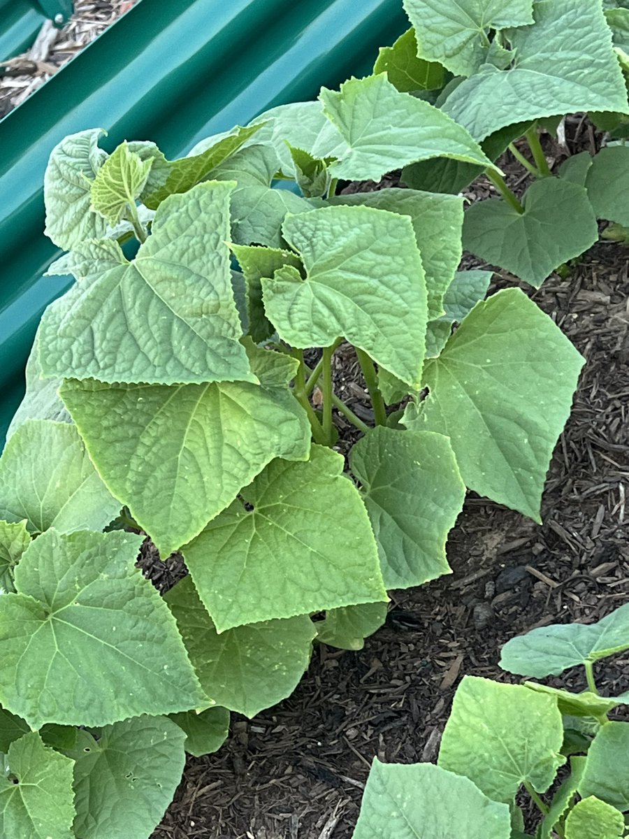 Dr. Masters tweet media