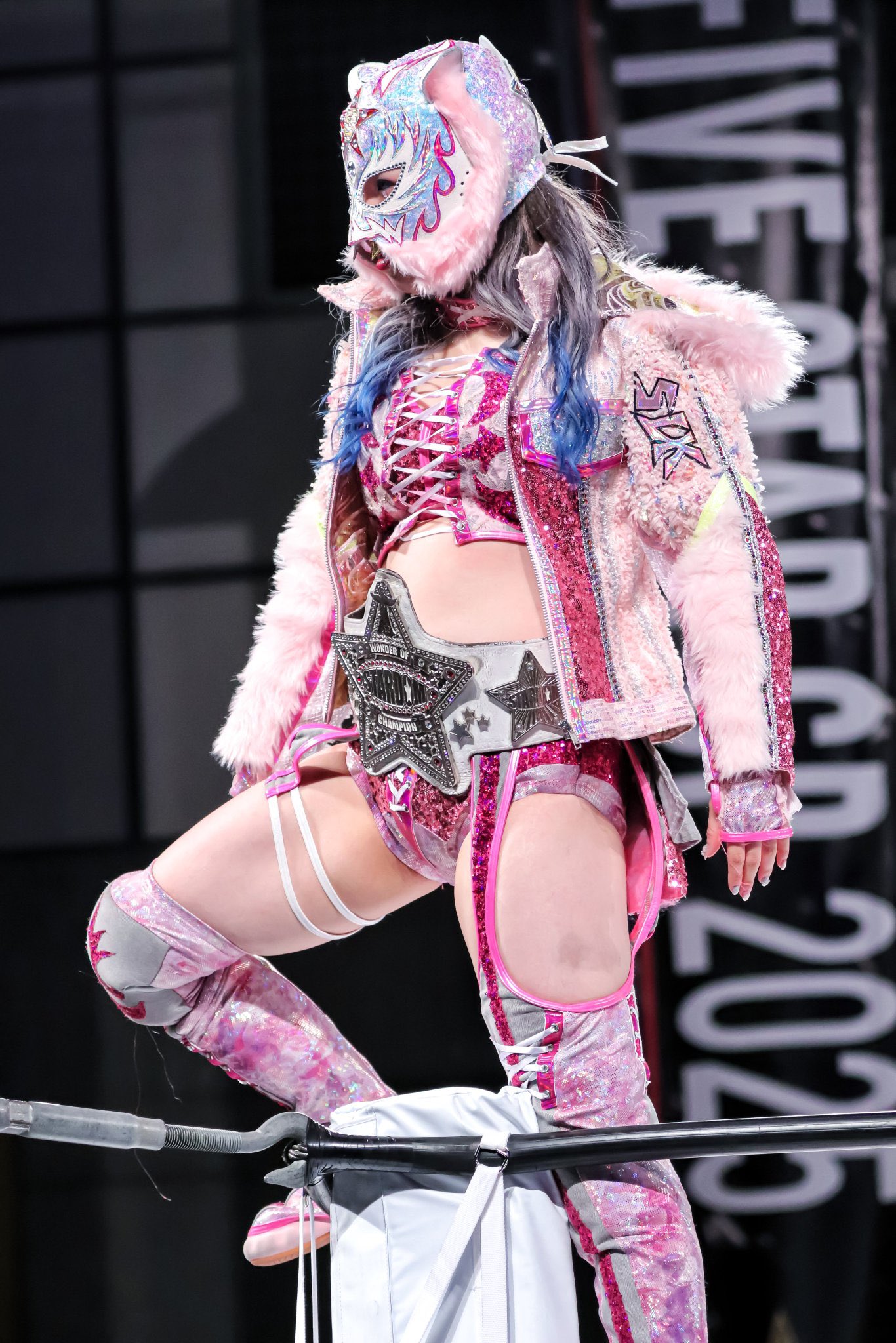 スターダム💙スターライト・キッド🐯🤍 on X: 