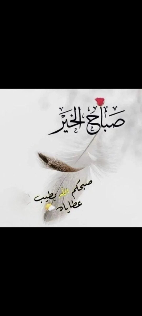 Abdull Aziz (@abdullaziz6787) on Twitter photo 