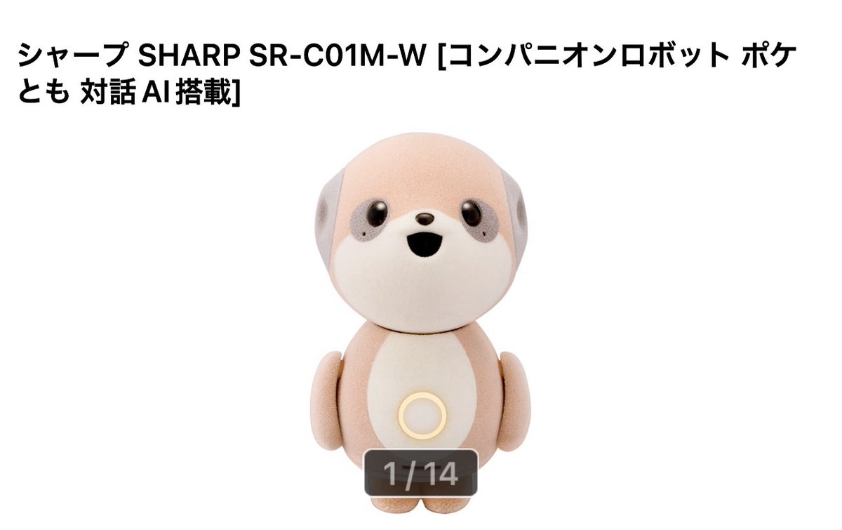 コンパニオン ロボット ポケとも SR-C01M-W AI LLM シャープ シャープ