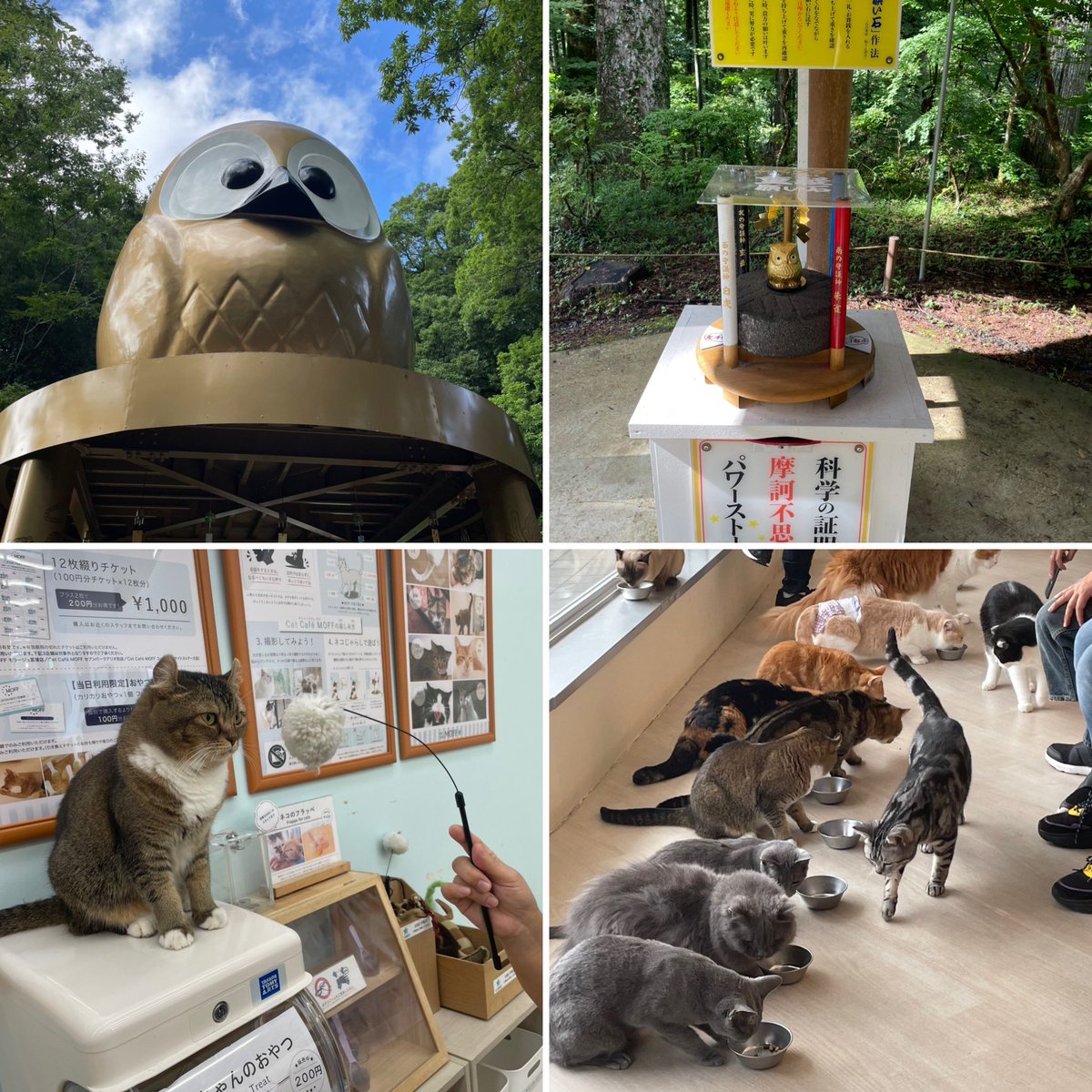 鷲子山上神社【公式】 (@torinokosan) / Posts / X